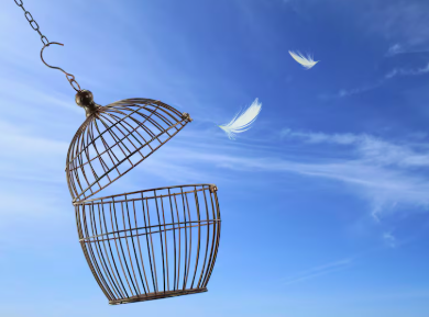 Entre a segurança e a liberdade